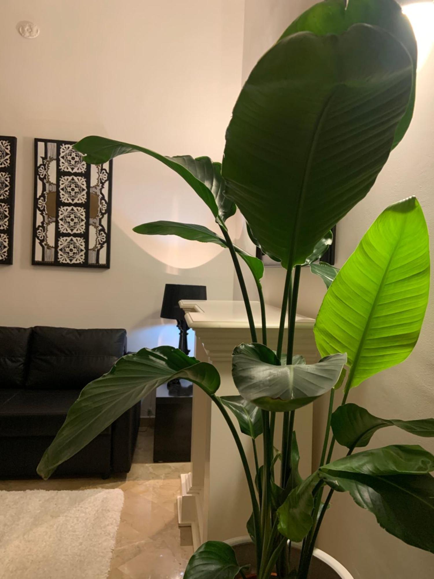 Bari Downtown Luxury Apartment 外观 照片